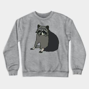 Trash Panda Crewneck Sweatshirt